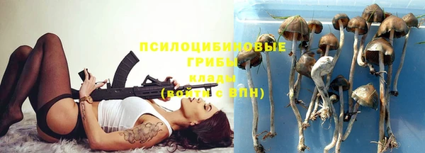 дмт Аркадак