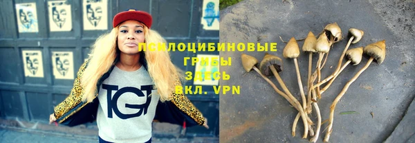 стафф Тында