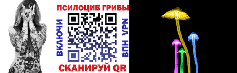 Галлюциногенные грибы Cubensis  наркошоп  Курган 